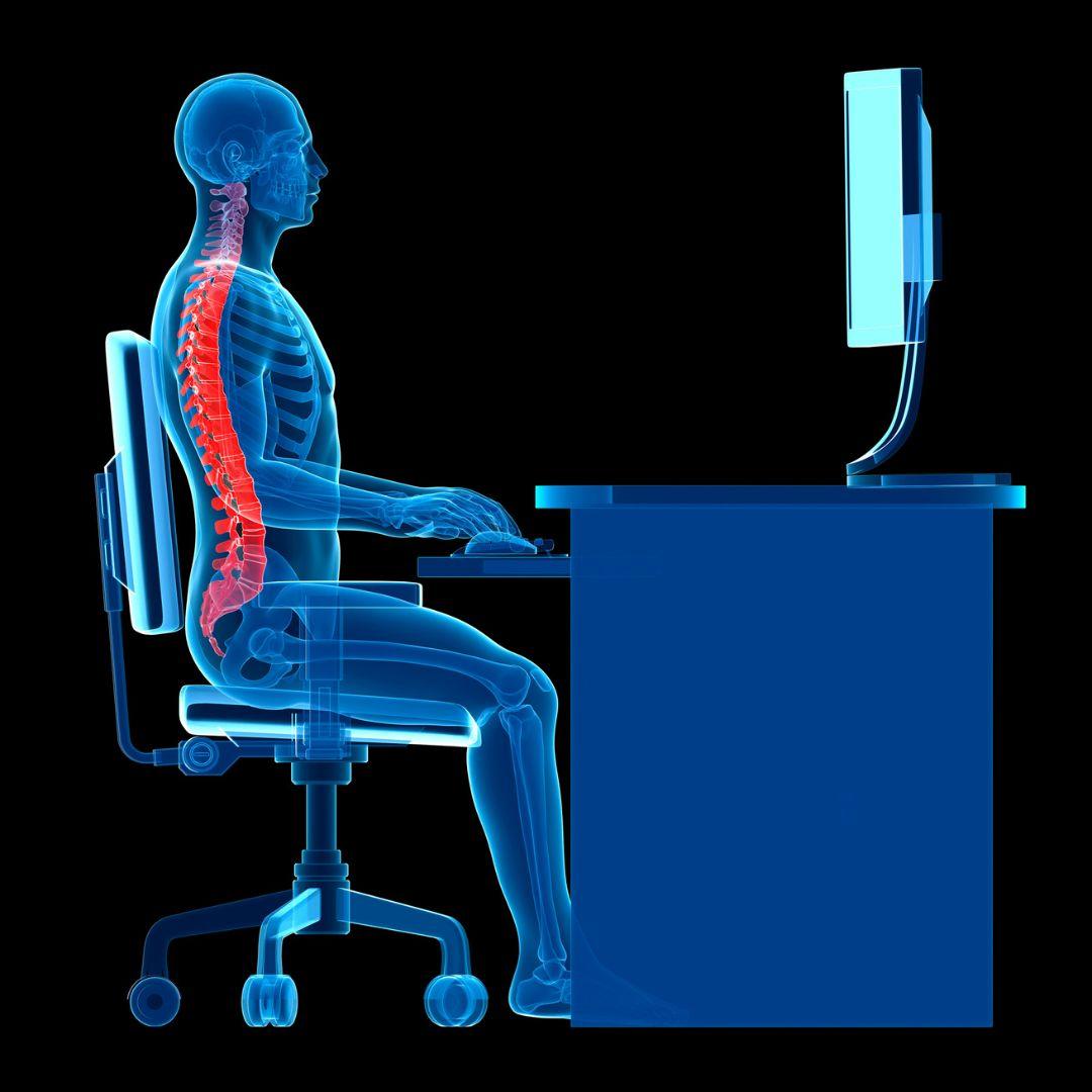 Ultimate Guide to Looking After Your Musculoskeletal Health When Working in a Seated Role